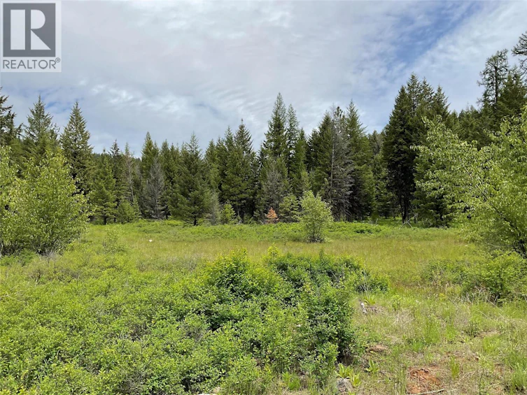 Lot-1 Nicholson Creek Road, Rock Creek, BC, V0H 1Y0 - 16