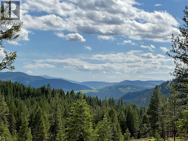 Lot-1 Nicholson Creek Road, Rock Creek, BC, V0H 1Y0
