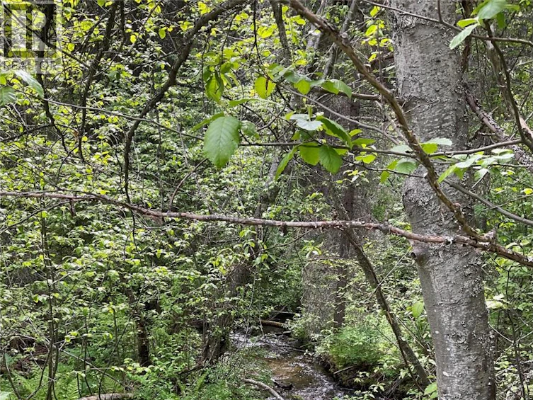 Lot-1 Nicholson Creek Road, Rock Creek, BC, V0H 1Y0 - 5