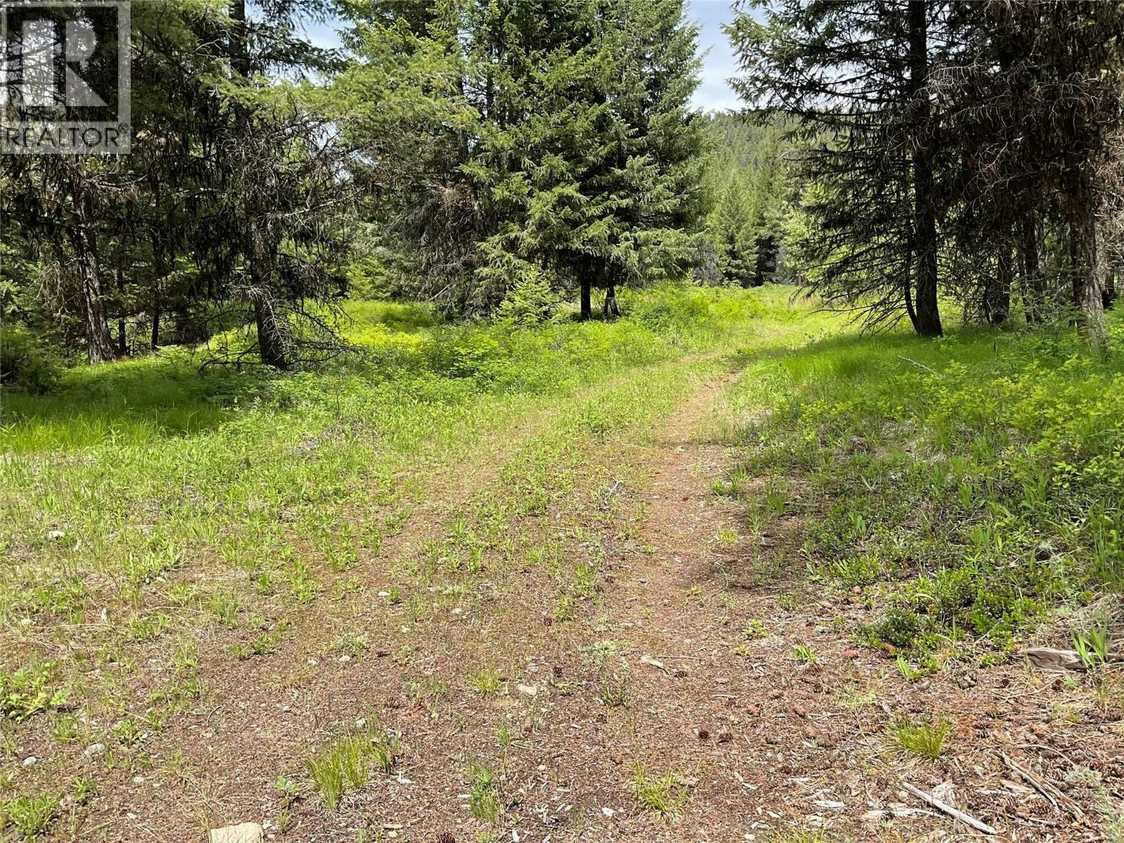 Lot-1 Nicholson Creek Road, Rock Creek, BC, V0H 1Y0 - 14