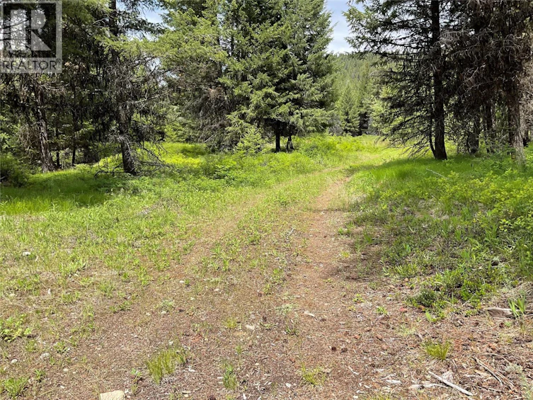 Lot-1 Nicholson Creek Road, Rock Creek, BC, V0H 1Y0 - 14