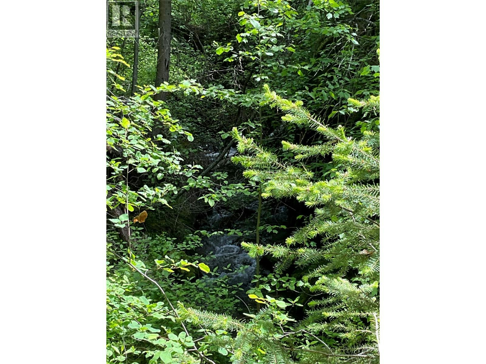 Lot-1 Nicholson Creek Road - 2
