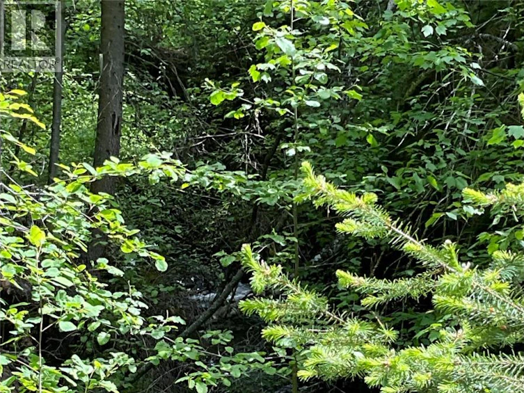 Lot-1 Nicholson Creek Road, Rock Creek, BC, V0H 1Y0 - 2