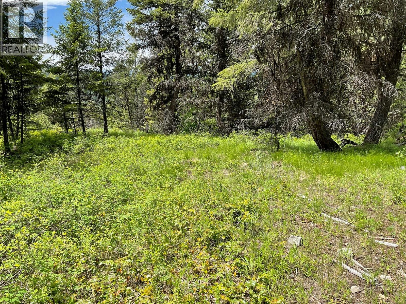 Lot-1 Nicholson Creek Road, Rock Creek, BC, V0H 1Y0 - 13