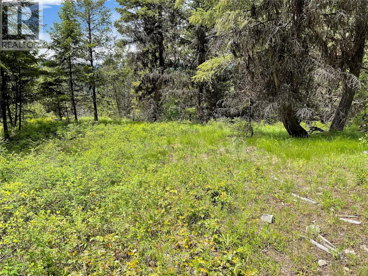 Lot-1 Nicholson Creek Road, Rock Creek, BC, V0H 1Y0 - 13