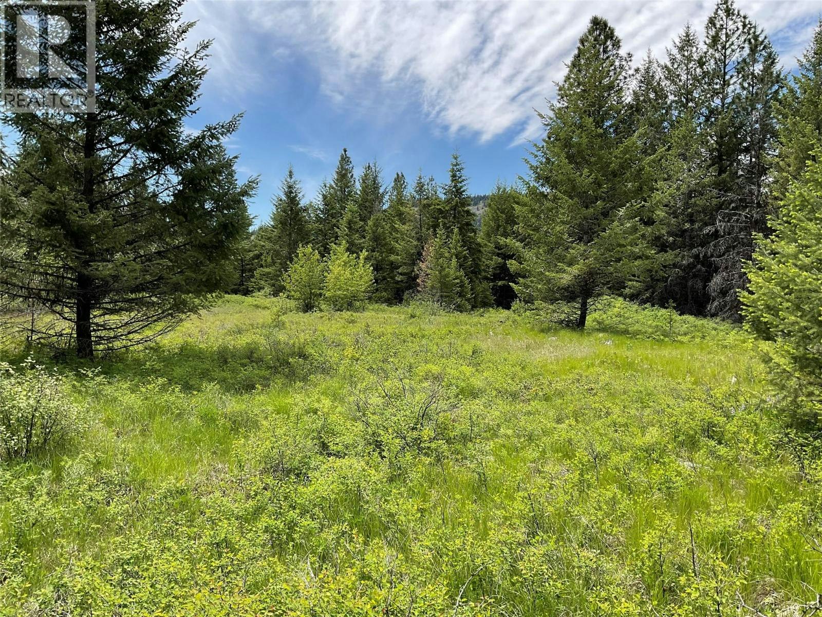 Lot-1 Nicholson Creek Road, Rock Creek, BC, V0H 1Y0 - 18