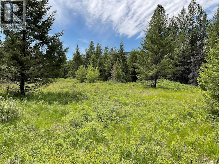 Lot-1 Nicholson Creek Road, Rock Creek, BC, V0H 1Y0 - 18