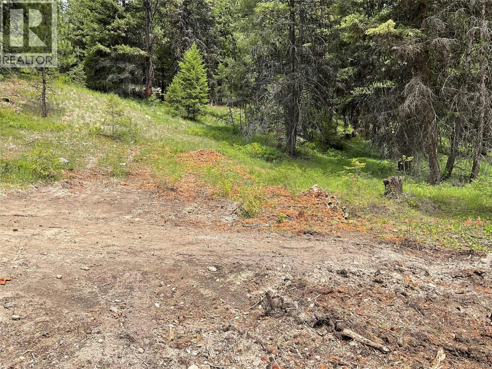 Lot-1 Nicholson Creek Road, Rock Creek, BC, V0H 1Y0 - 8
