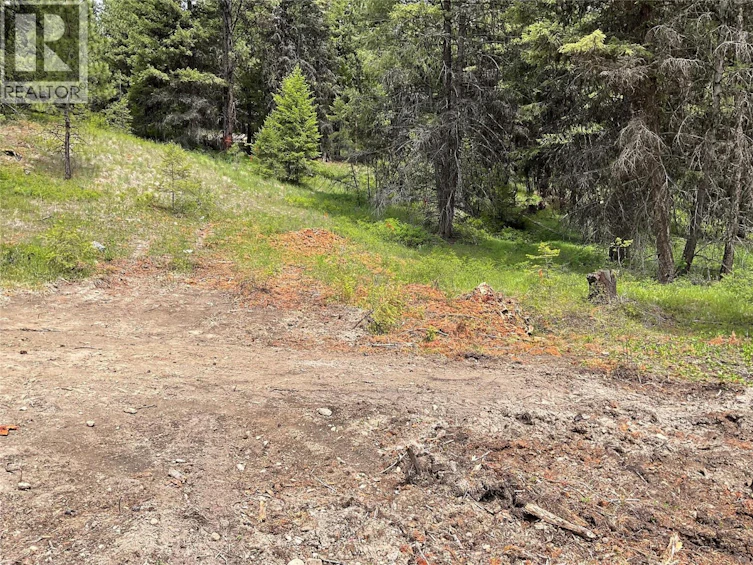 Lot-1 Nicholson Creek Road, Rock Creek, BC, V0H 1Y0 - 8