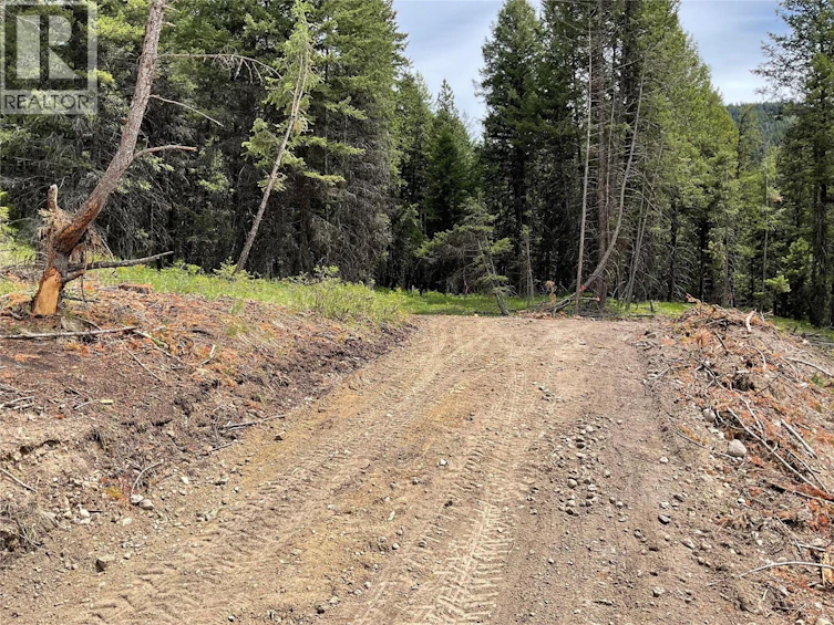Lot-1 Nicholson Creek Road, Rock Creek, BC, V0H 1Y0 - 7