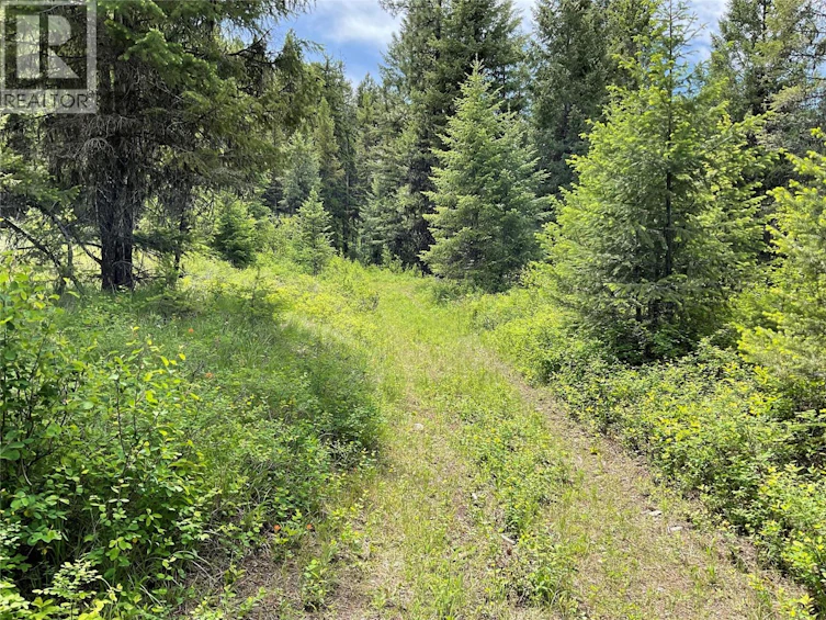 Lot-1 Nicholson Creek Road, Rock Creek, BC, V0H 1Y0 - 11
