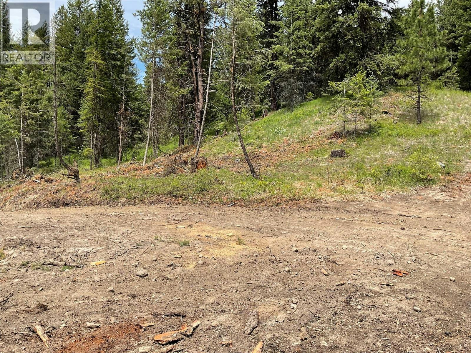 Lot-1 Nicholson Creek Road, Rock Creek, BC, V0H 1Y0 - 9
