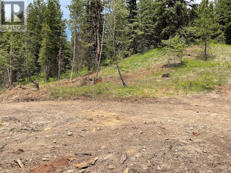 Lot-1 Nicholson Creek Road, Rock Creek, BC, V0H 1Y0 - 9