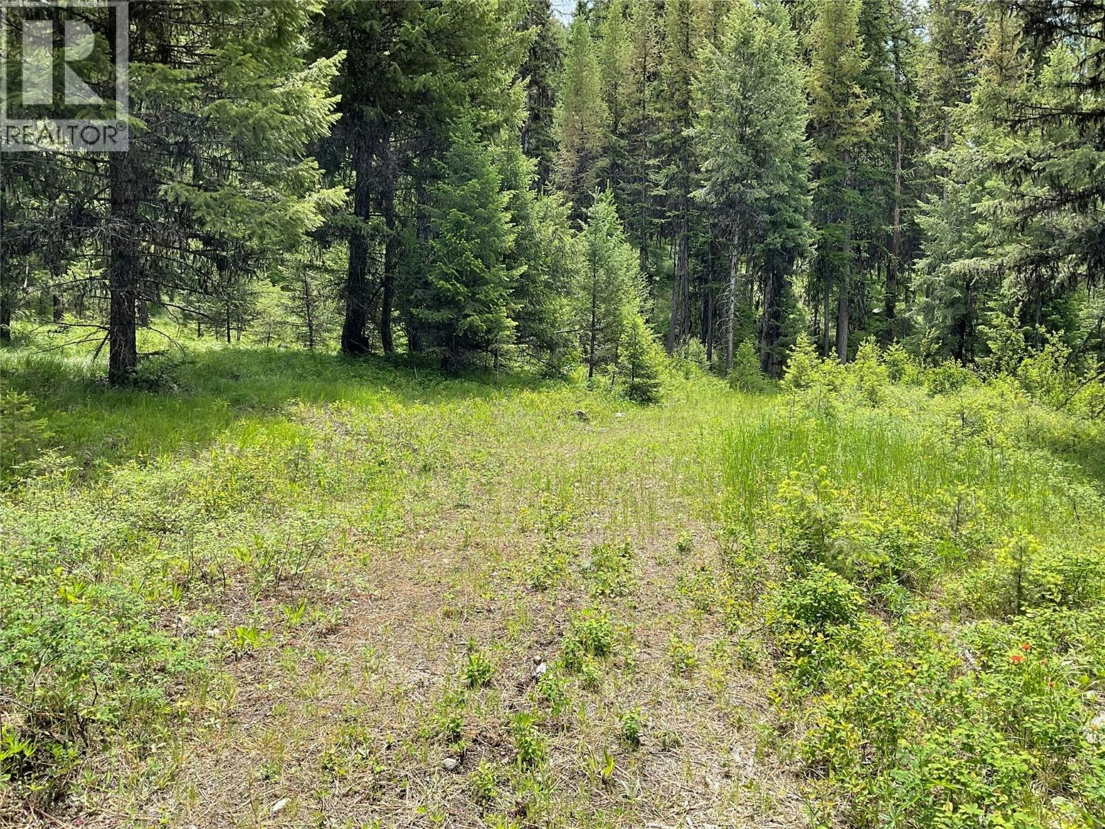 Lot-1 Nicholson Creek Road, Rock Creek, BC, V0H 1Y0 - 12