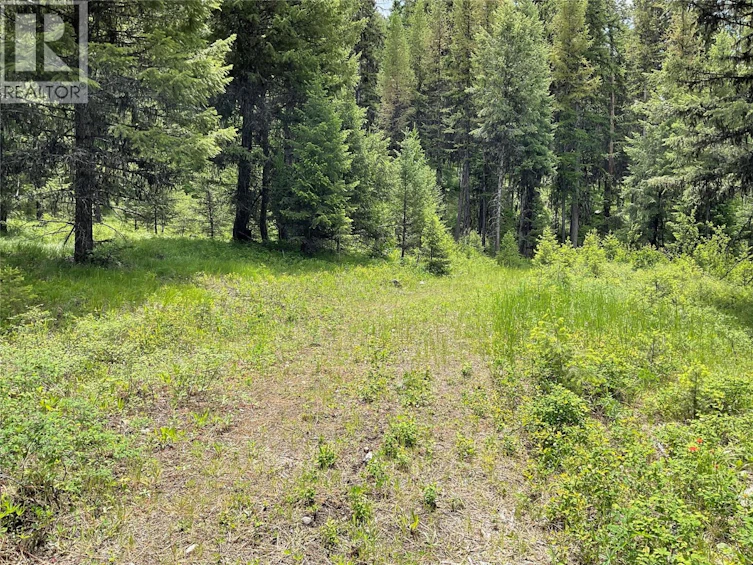 Lot-1 Nicholson Creek Road, Rock Creek, BC, V0H 1Y0 - 12
