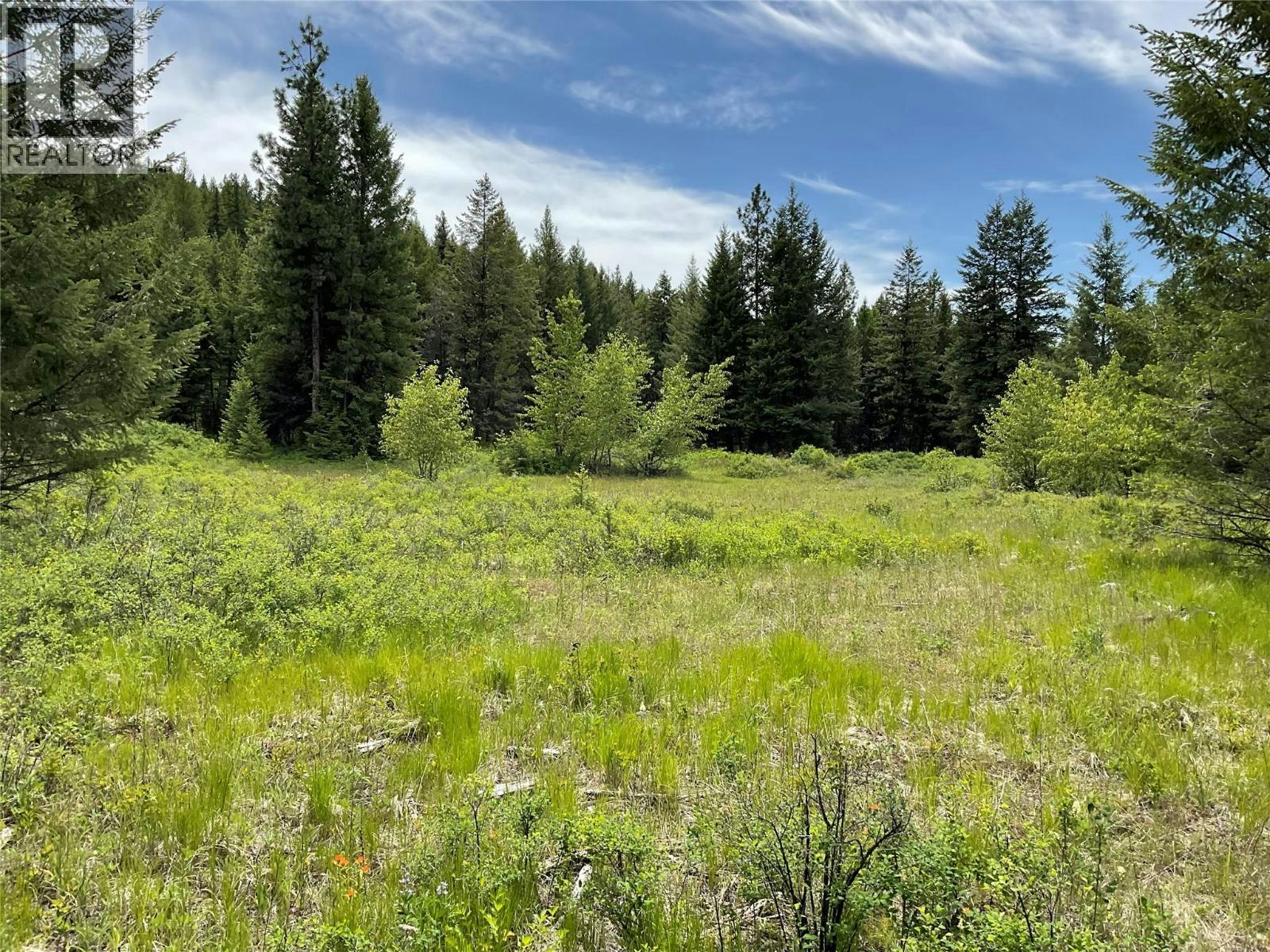 Lot-1 Nicholson Creek Road, Rock Creek, BC, V0H 1Y0 - 17
