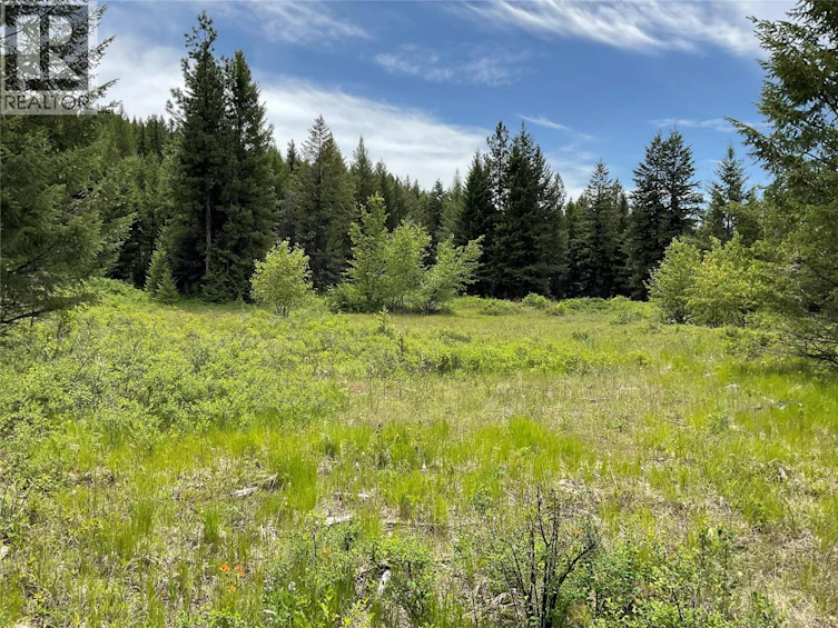 Lot-1 Nicholson Creek Road, Rock Creek, BC, V0H 1Y0 - 17