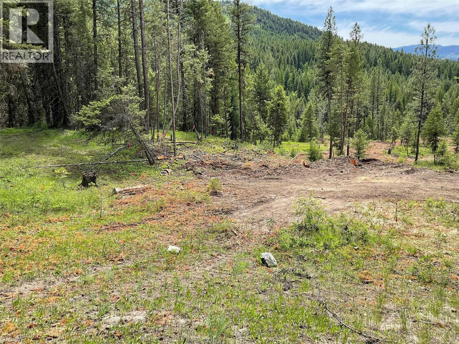 Lot-1 Nicholson Creek Road, Rock Creek, BC, V0H 1Y0 - 10