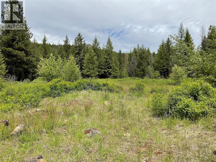 Lot-1 Nicholson Creek Road, Rock Creek, BC, V0H 1Y0 - 15