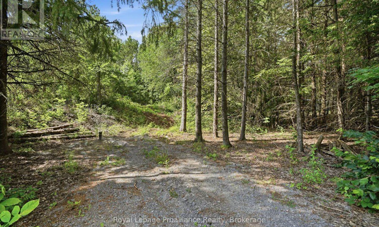 00 Otter Creek Road