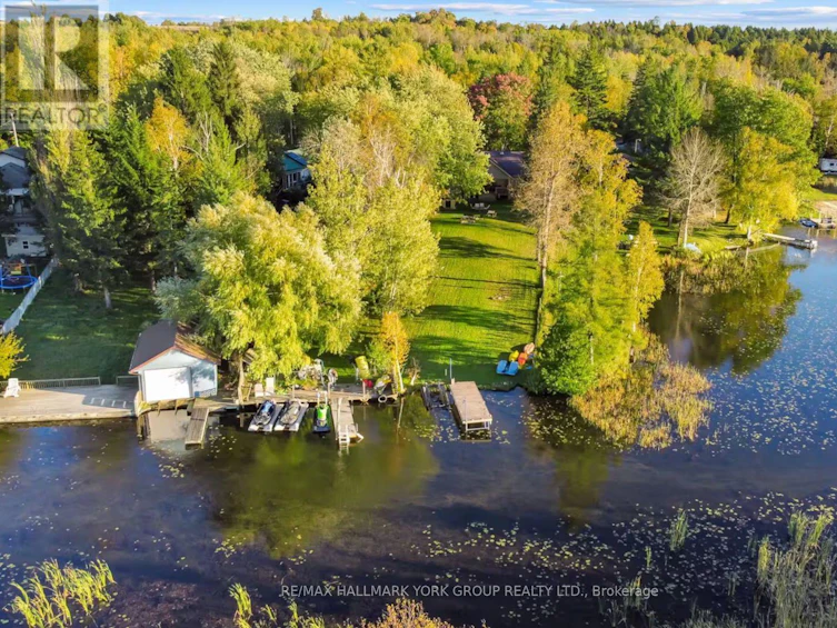 25 Driftwood Shores, Kawartha Lakes, ON, K0M 2B0 - 42