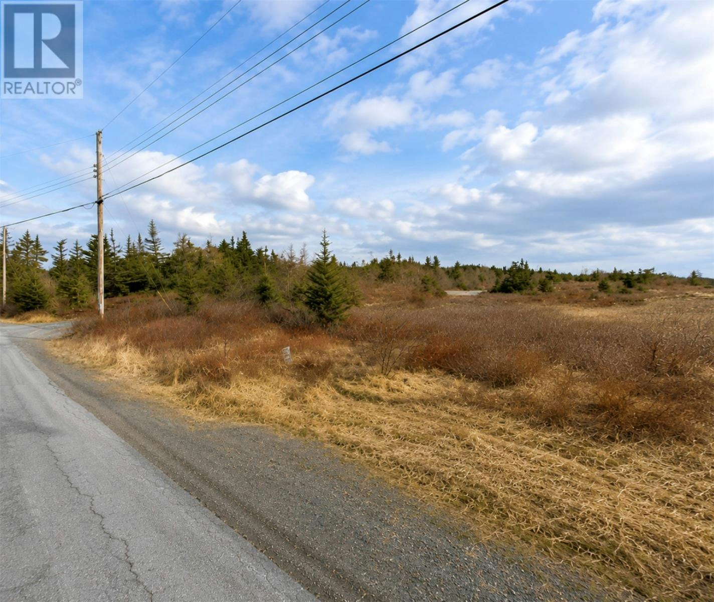 163 Ridge Road, Spaniard's Bay, NL, A0A 3X0