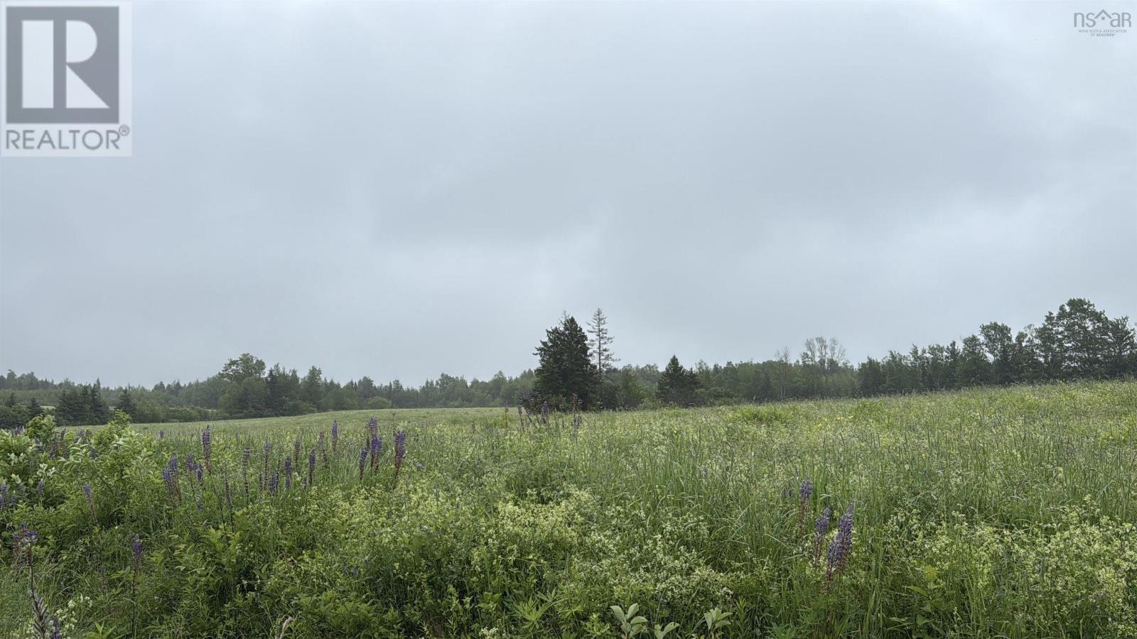 Lot-Wallie Mingo Road, Keble, NS, B0K 1V0