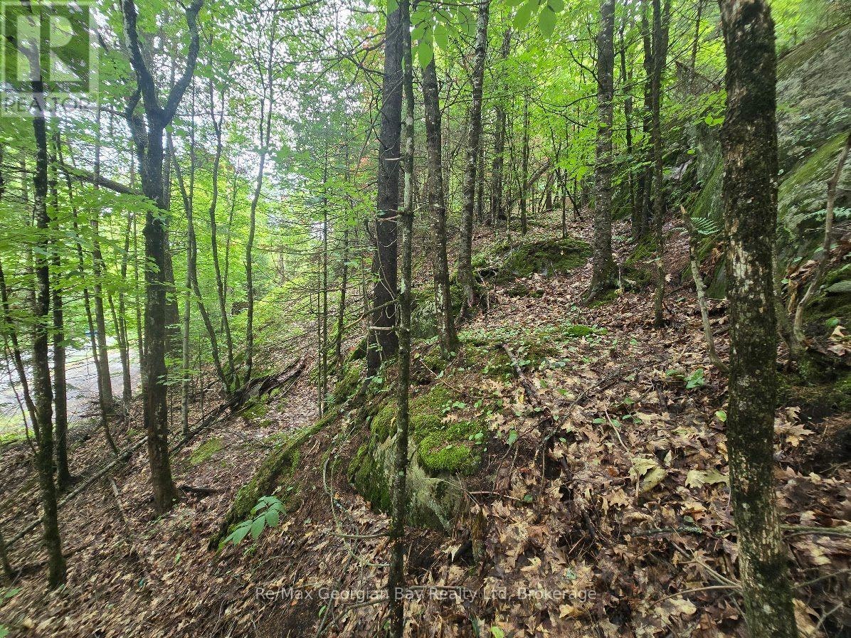 107 Balsam Chutes Road, Huntsville, ON, P0B 1L0