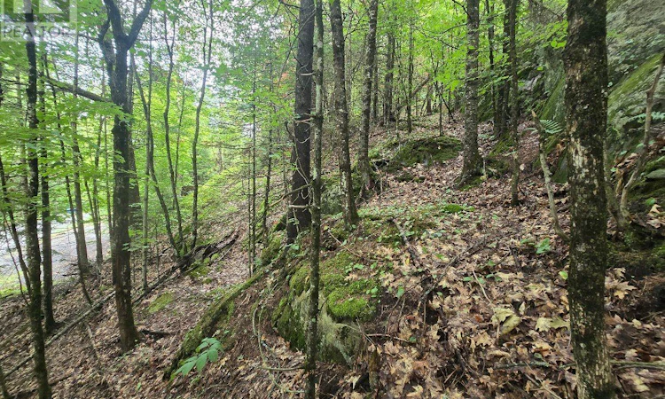 107 Balsam Chutes Road