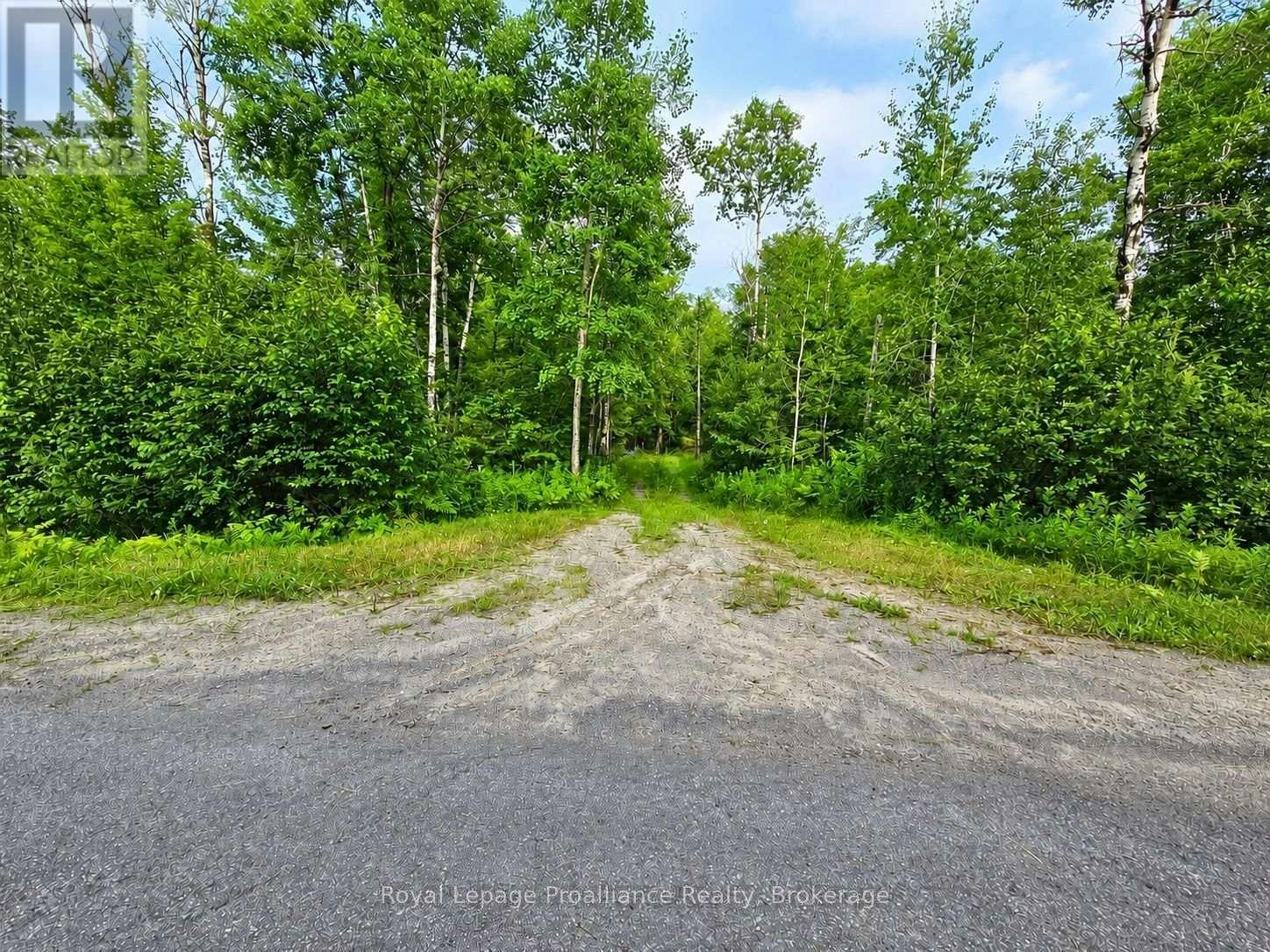 1446 Flinton Road, Tweed, ON, K0H 1P0