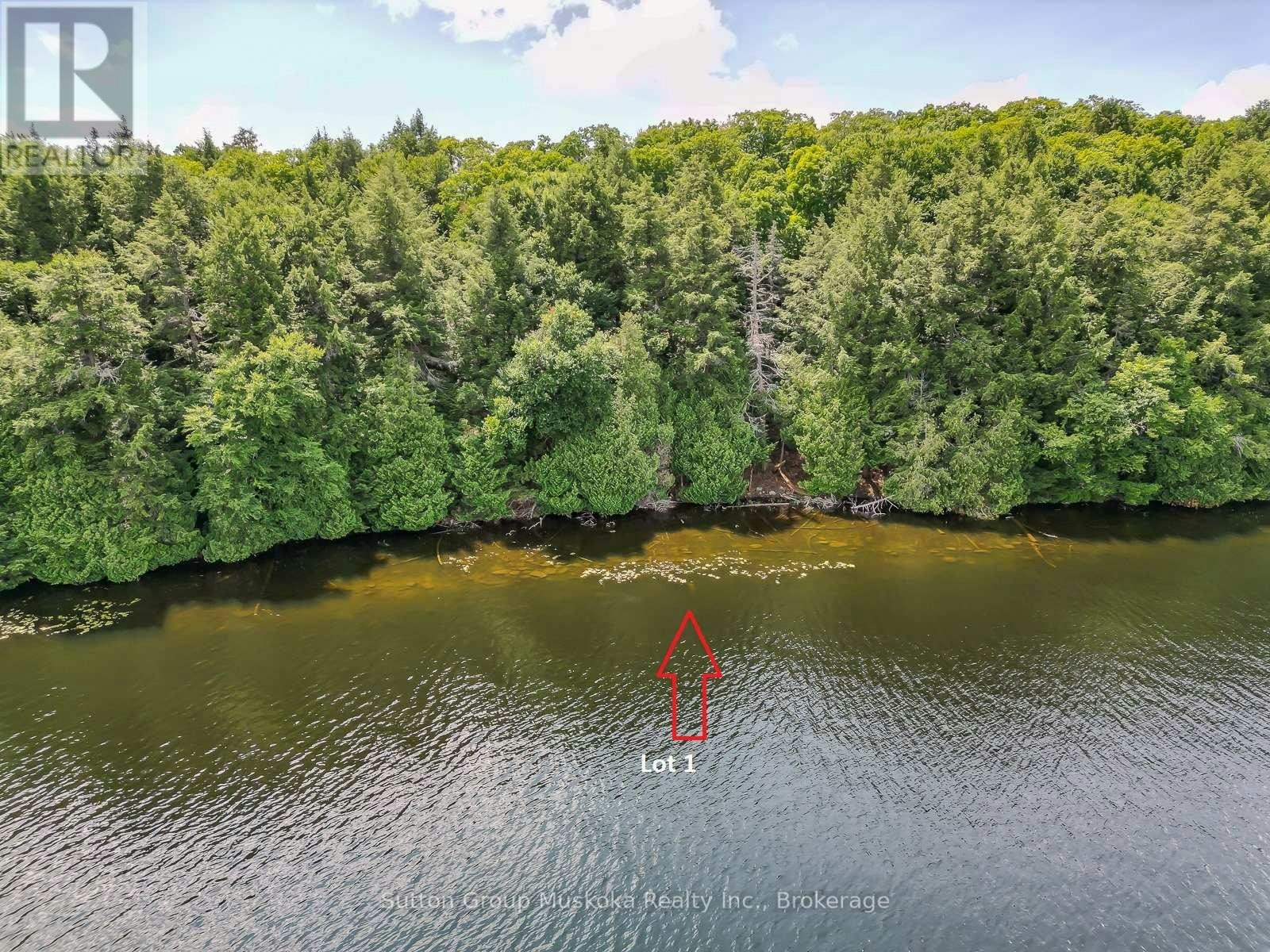 LOT-1 Esig Lane, Lake of Bays, ON, P1H 2J6