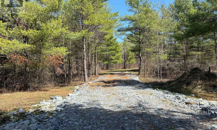 LOT-3 Leveque Road