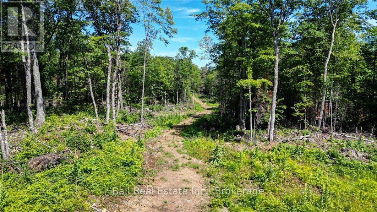 691 Bush Road, North Kawartha, ON, K0L 1A0