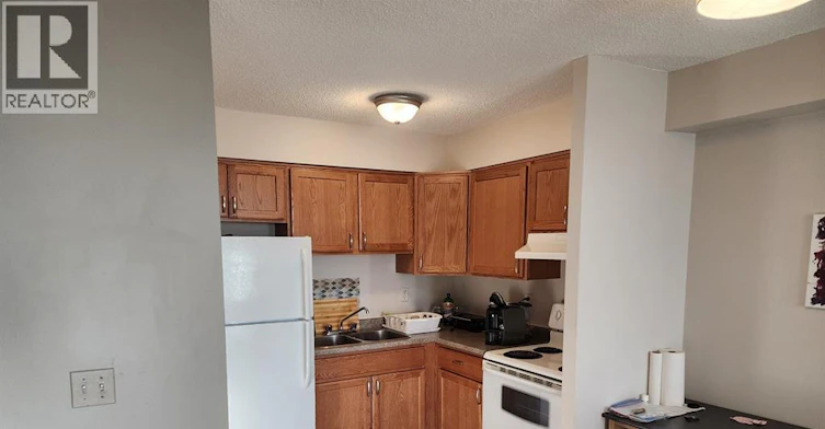 2515-150 Park Street West, Windsor, ON, N9A 7A2 - 3