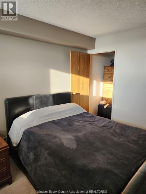 2515-150 Park Street West, Windsor, ON, N9A 7A2 - 8
