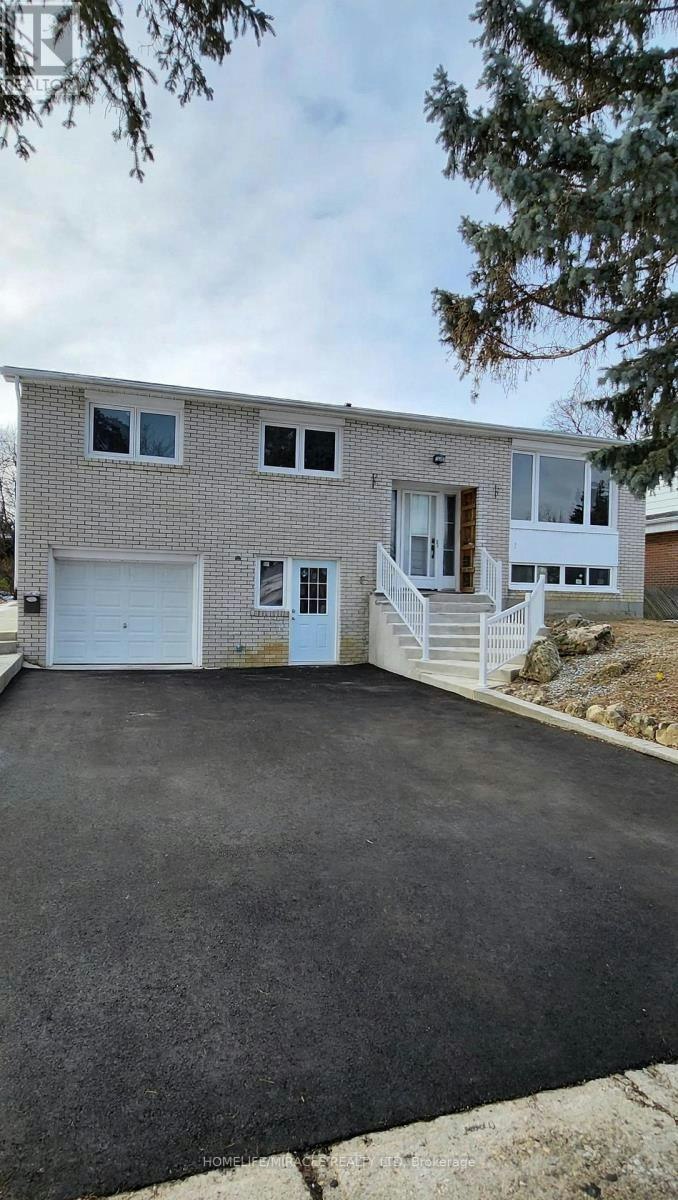 MAIN-219 Mcmurchy Avenue, Brampton, ON, L6Y 1Z2