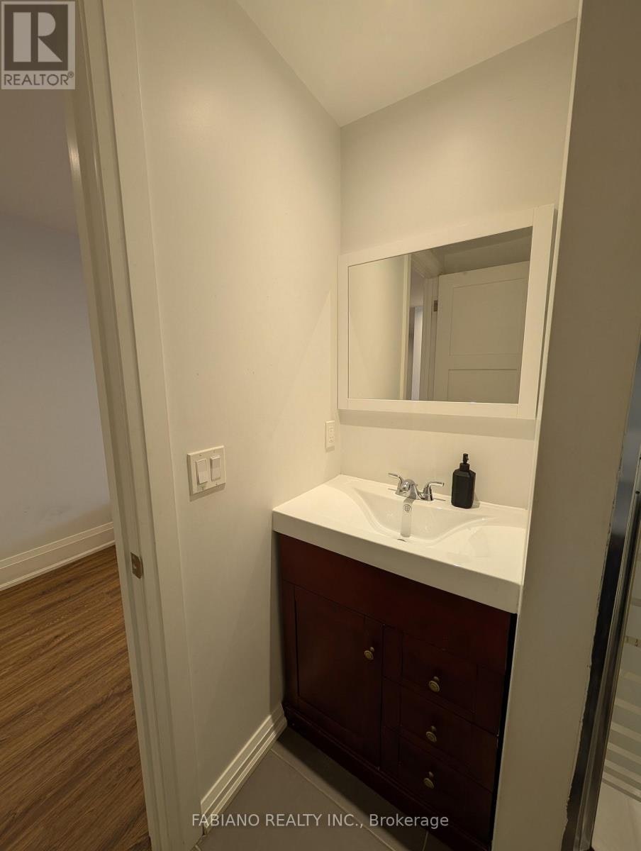 LOWER-1036 Dovercourt Road, Toronto, ON, M6H 2X8 - 15