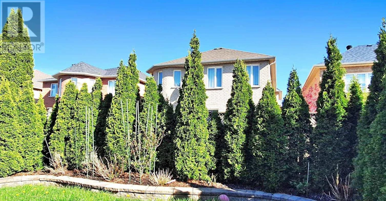 BSMT-47 Sapphire Drive, Richmond Hill, ON, L4S 2E5 - 37