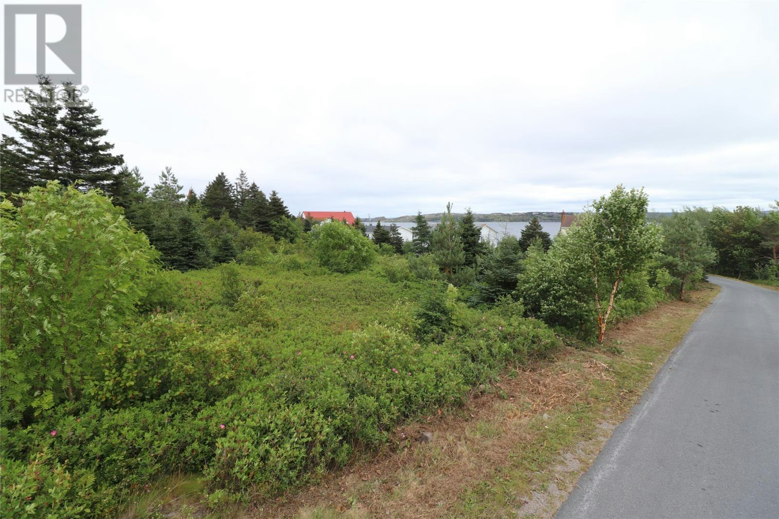 16 Hardings Lane, Bay Roberts, NL, A0A 1G0