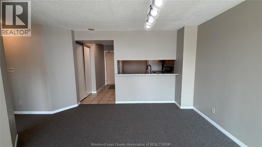 403-515 Riverside Drive, Windsor, ON, N9A 7C3 - 12