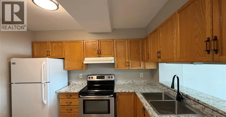 403-515 Riverside Drive, Windsor, ON, N9A 7C3 - 11