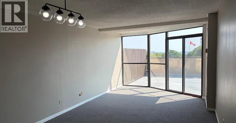 403-515 Riverside Drive, Windsor, ON, N9A 7C3 - 9