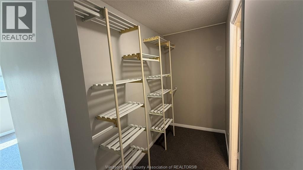 403-515 Riverside Drive, Windsor, ON, N9A 7C3 - 20