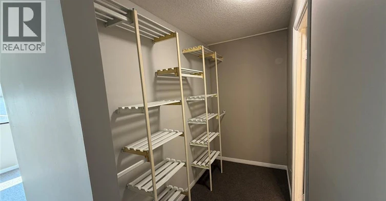 403-515 Riverside Drive, Windsor, ON, N9A 7C3 - 20