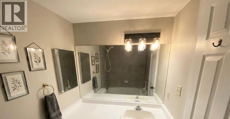 403-515 Riverside Drive, Windsor, ON, N9A 7C3 - 21