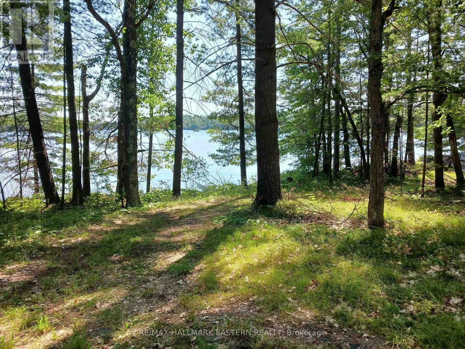 15 Fire 92a Kasshabog Lake Route, Havelock-Belmont-Methuen, ON, K0L 2H0