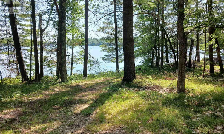15 Fire 92a Kasshabog Lake Route