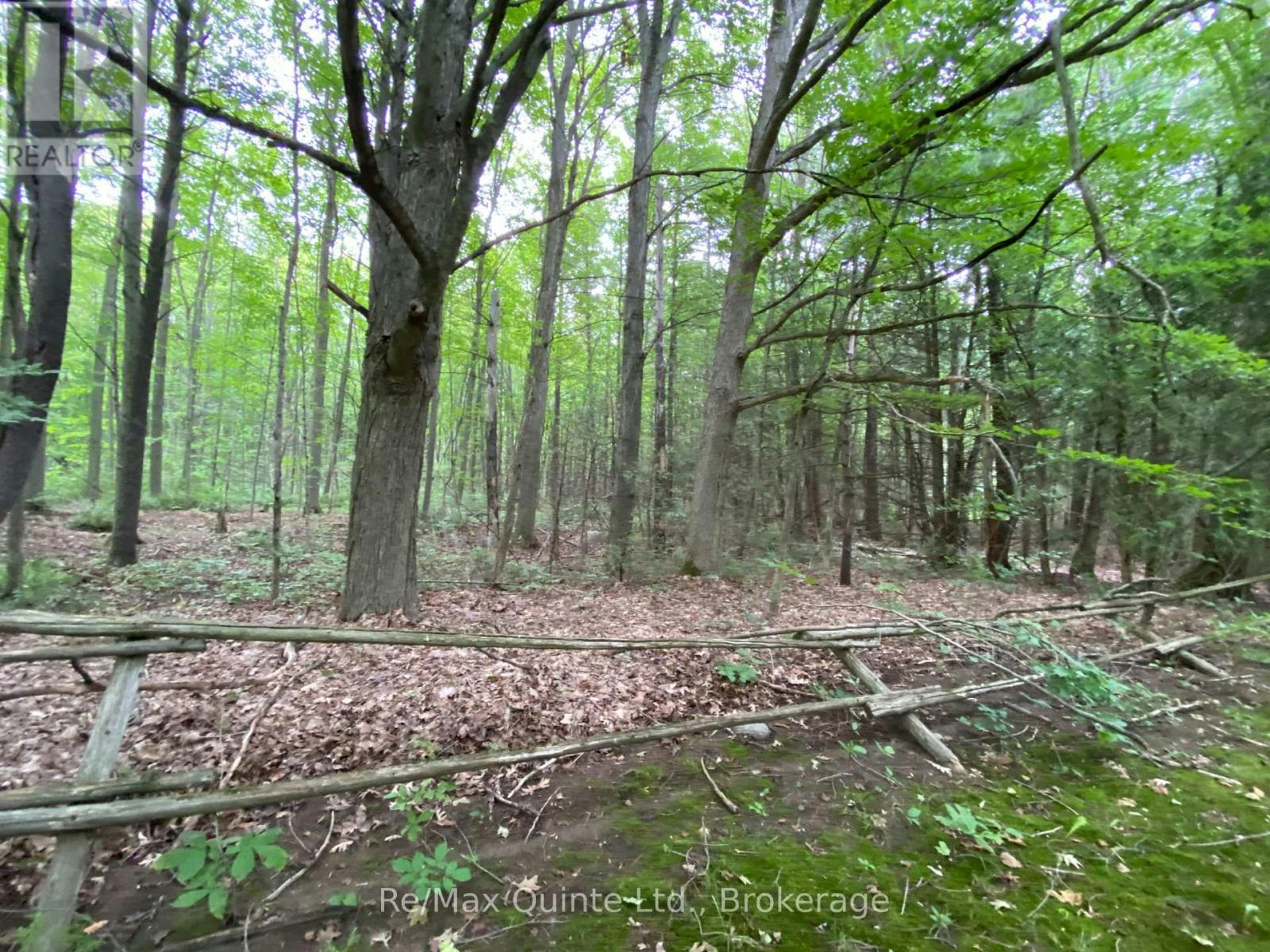 0 County 30 Road, Brighton, ON, K0K 1H0
