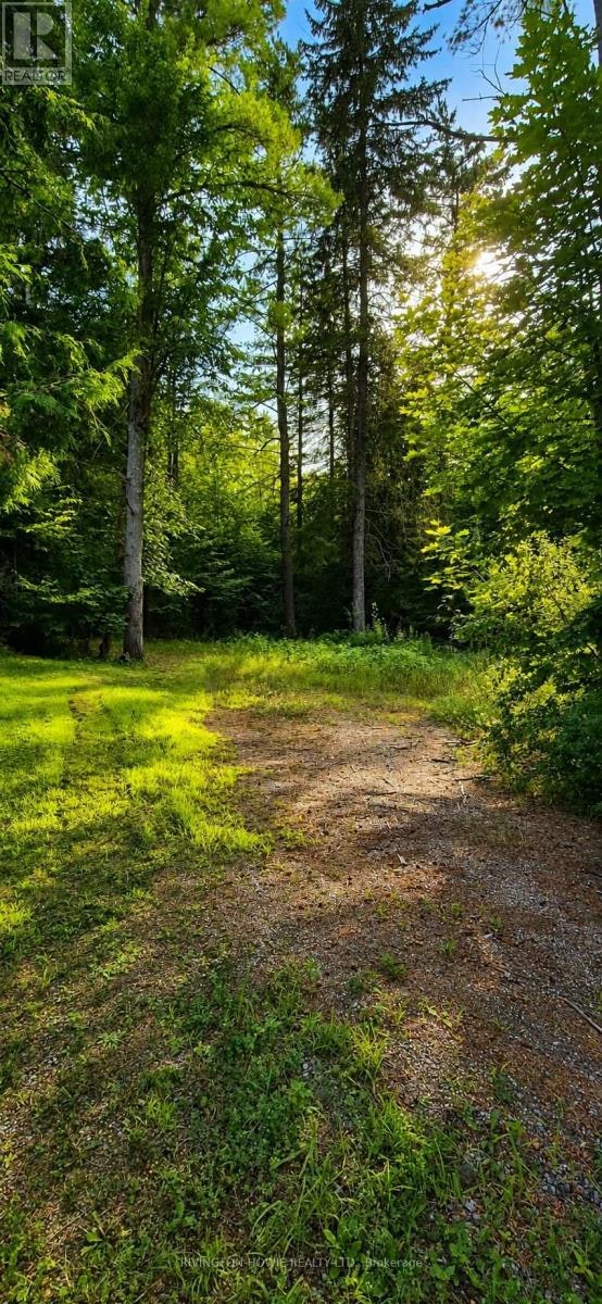 5045 Opeongo Road, Ottawa, ON, K0A 3M0