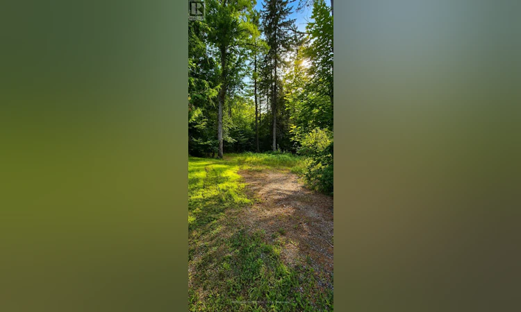 5045 Opeongo Road